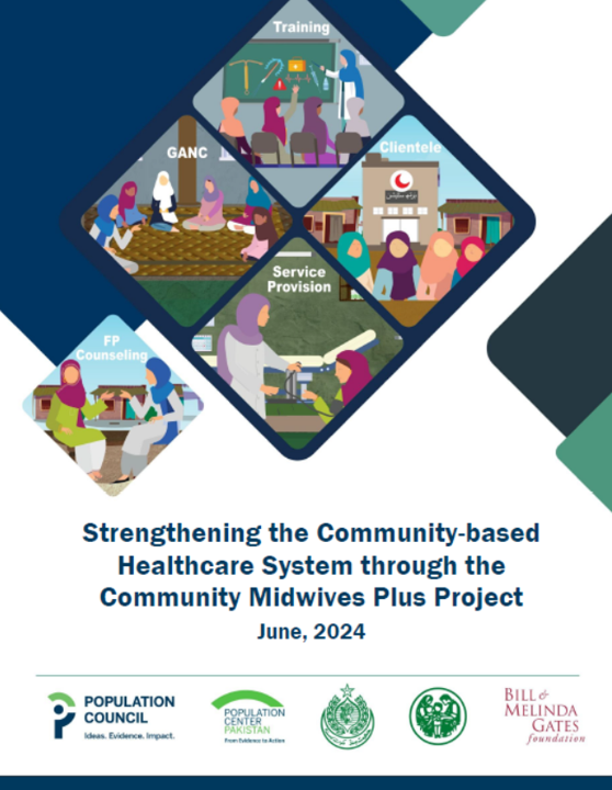 Strengthening the Community-based Healthcare System through the Community Midwives Plus Project cover